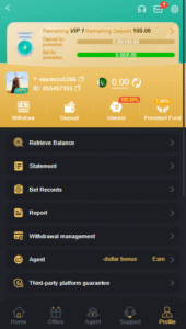 6 Game Profile Withdraw And Deposits
