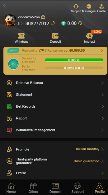 Profile page of game